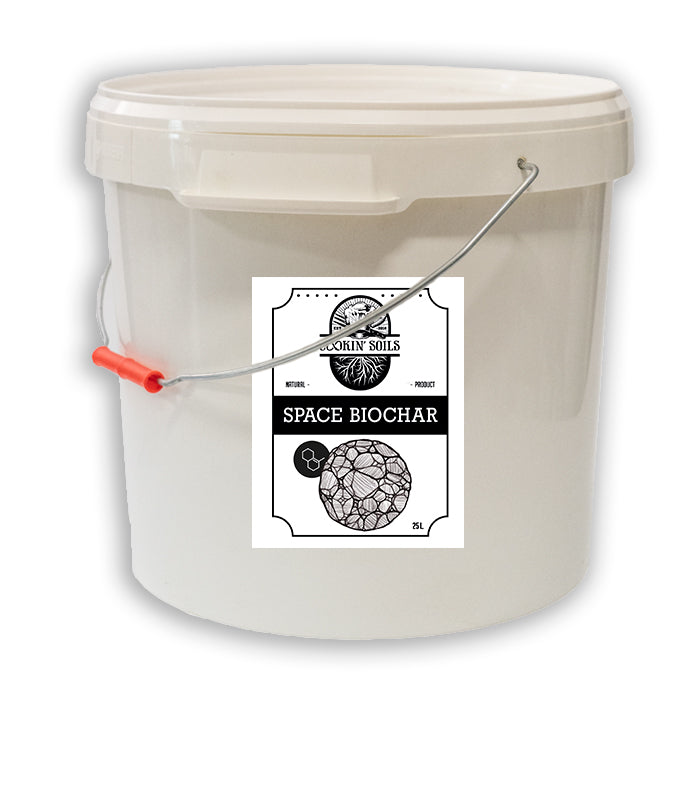 Complemento Space Biochar