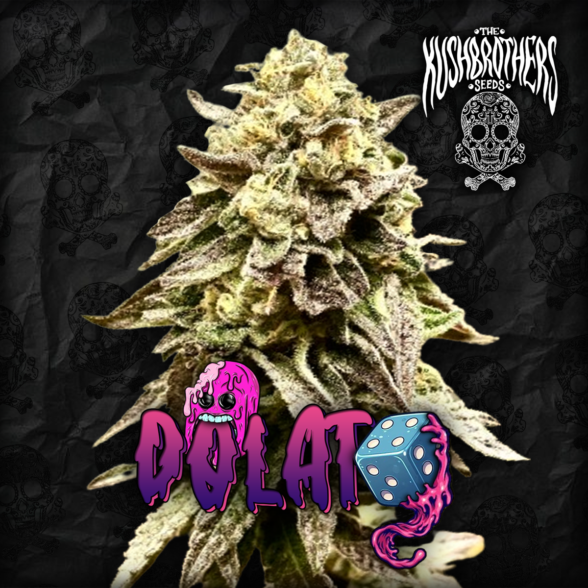Dolato