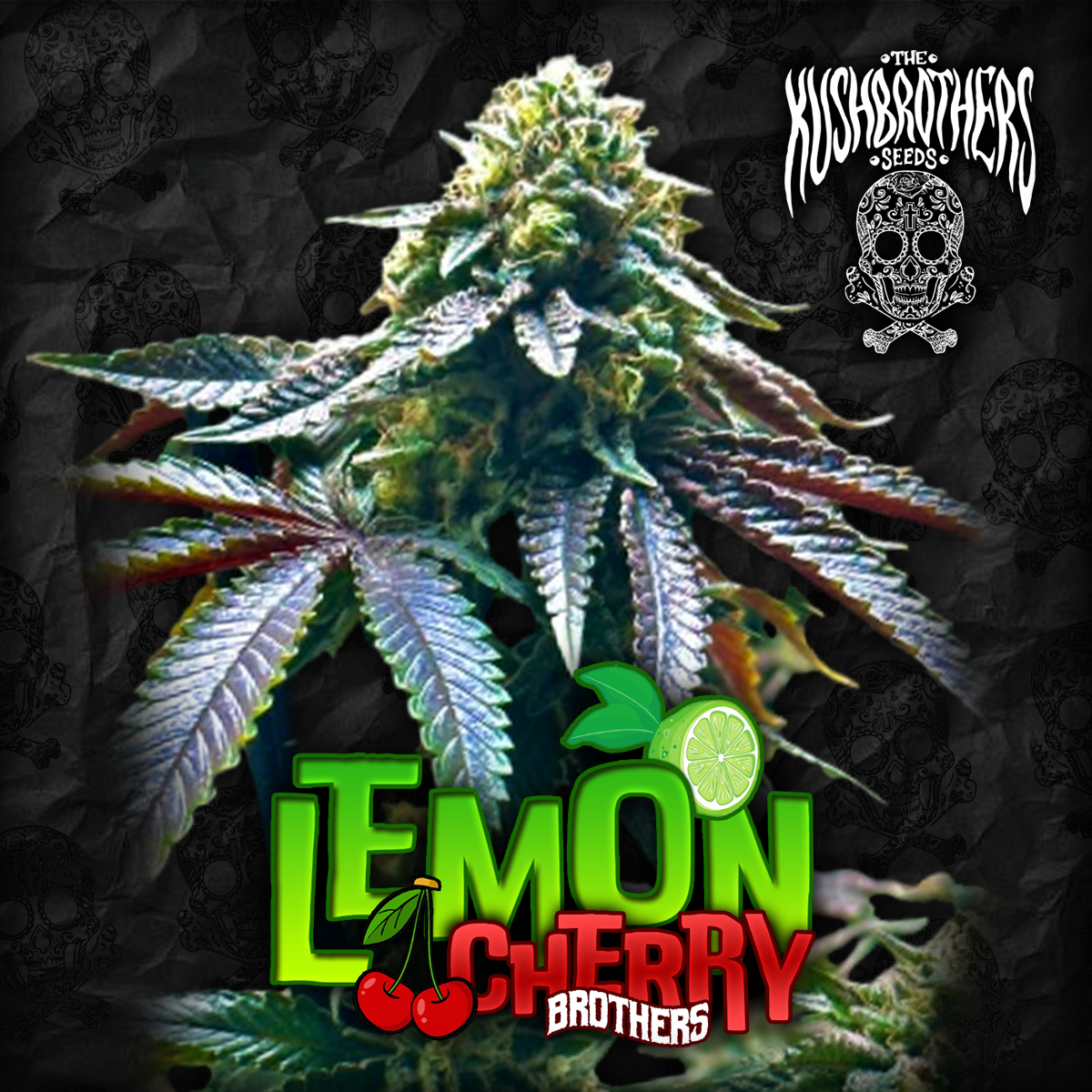 Lemon Cherry Brothers