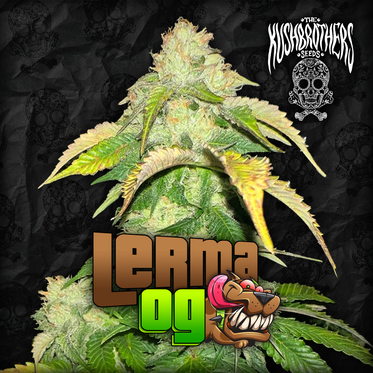 Lerma OG
