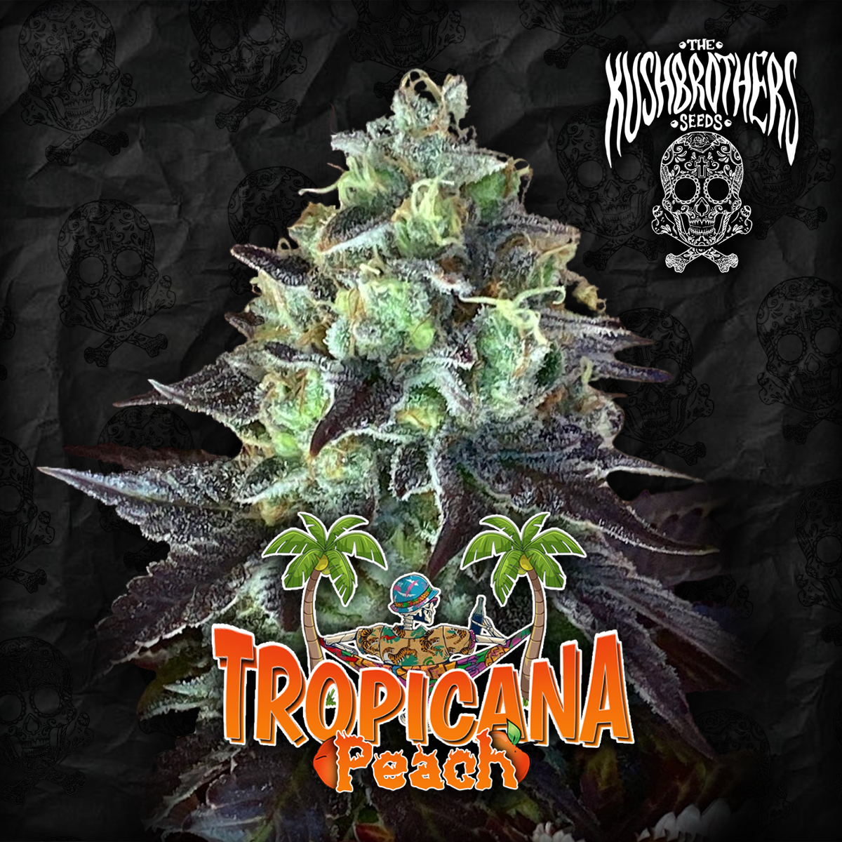 Tropicana Peach