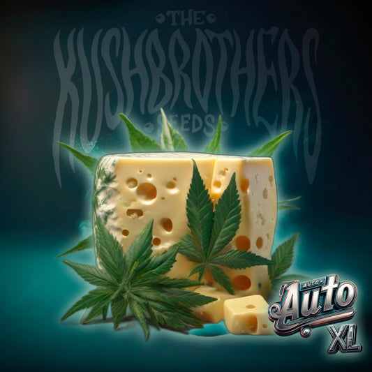 Auto Cheese XL