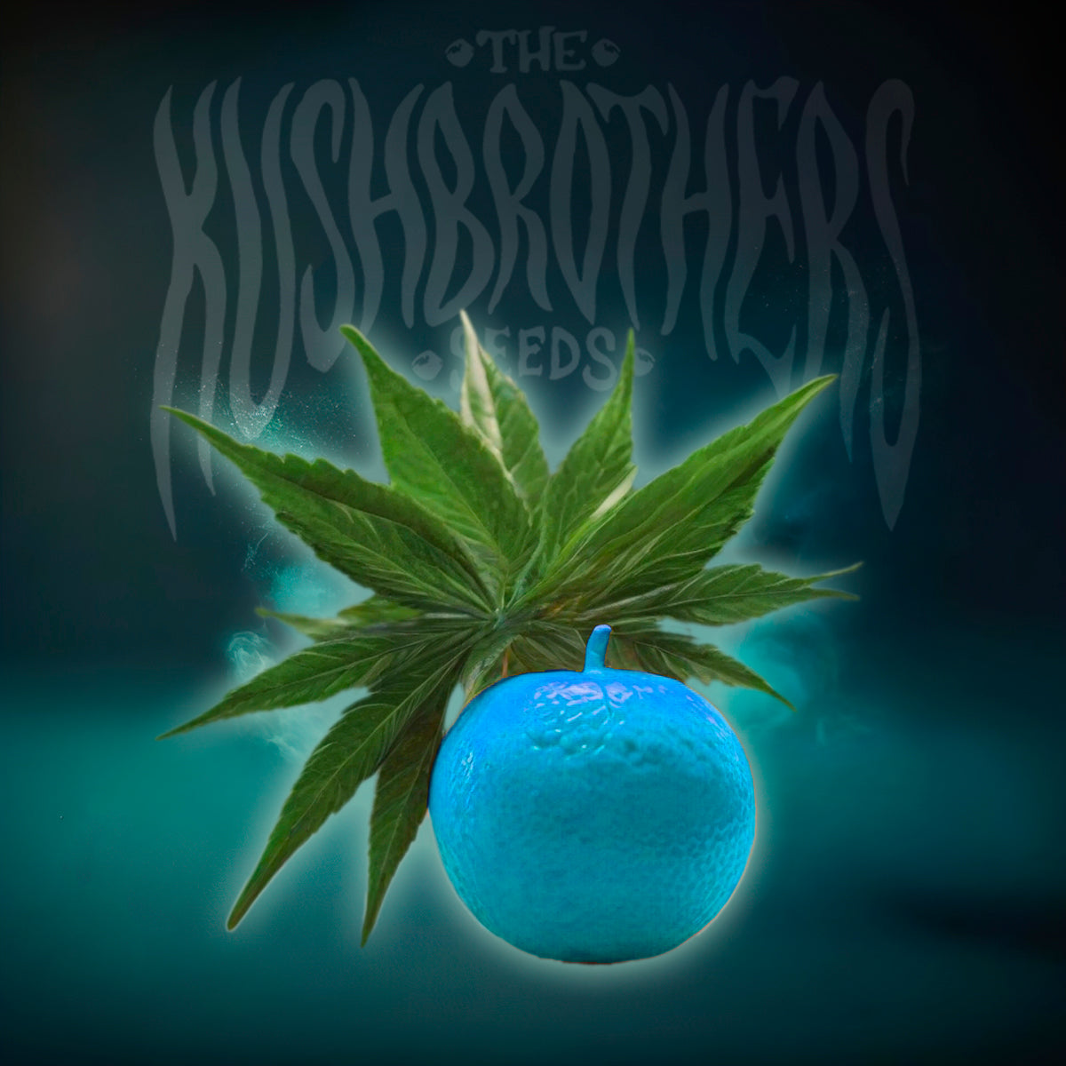 Auto Blue Mandarine XL
