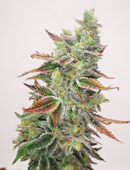 Grape Fuel