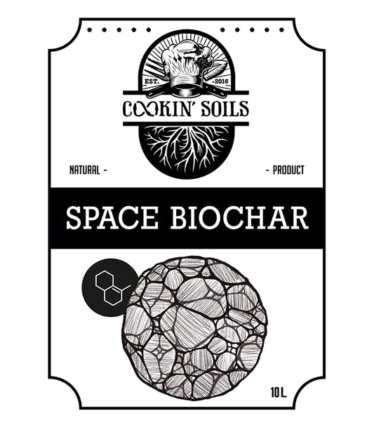 Complemento Space Biochar