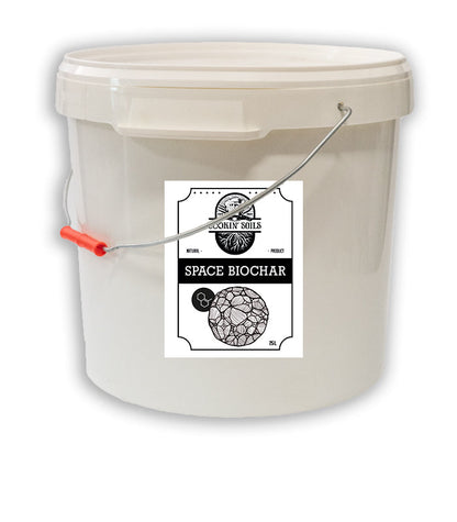 Complemento Space Biochar