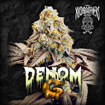 DENOM G