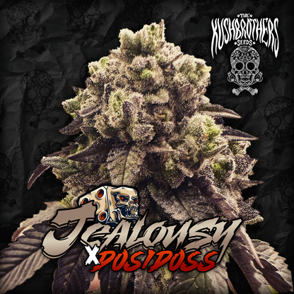 Jealousy x Dosidos