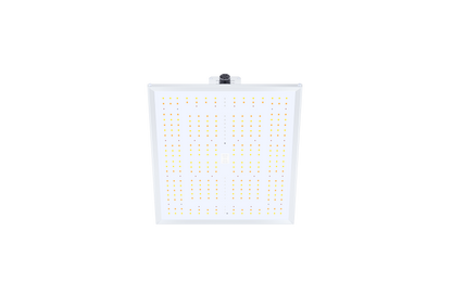 QUANTUM BOARD LED 150W - LED RG150