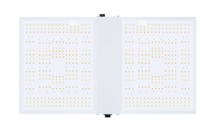 QUANTUM BOARD LED 300W - LED RG300