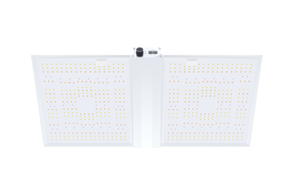 QUANTUM BOARD LED 300W - LED RG300