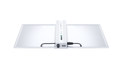 QUANTUM BOARD LED 300W - LED RG300