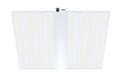 QUANTUM BOARD LED 480W - LED RG480