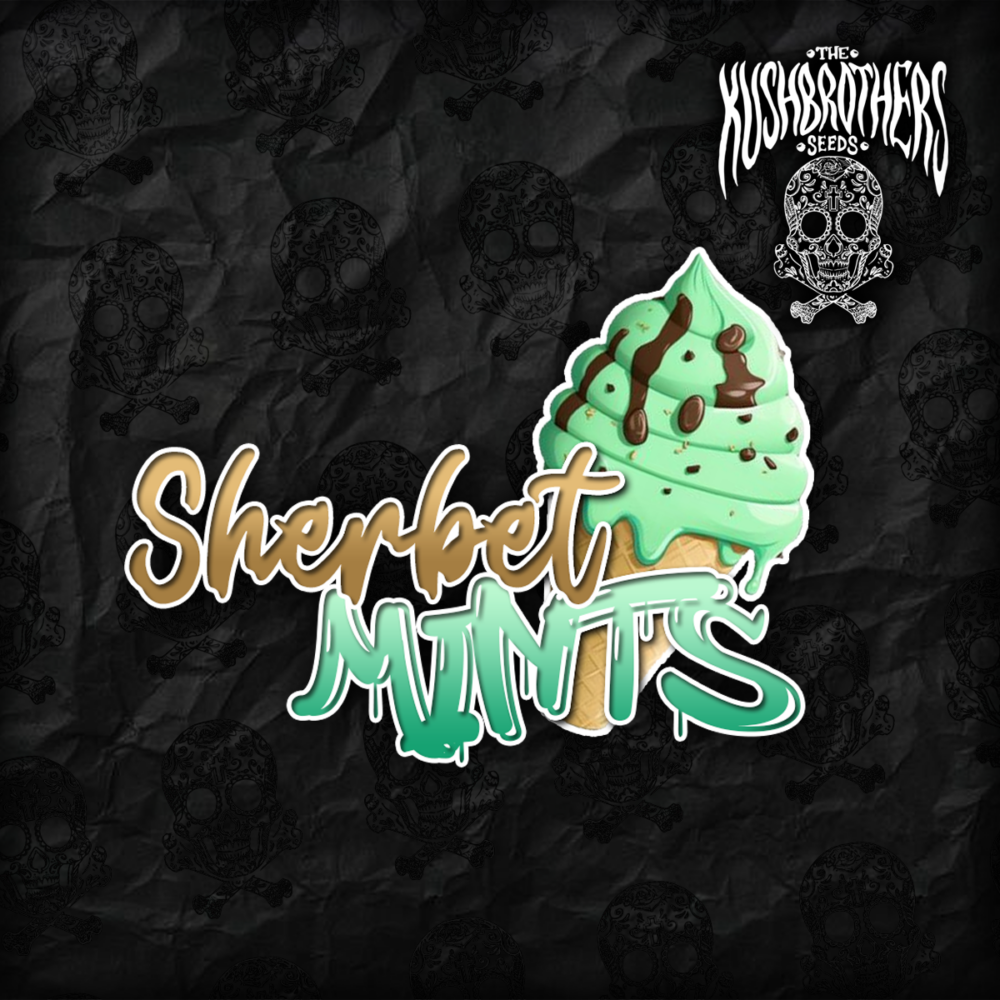Sherbet Mints
