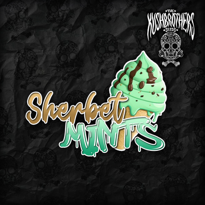 Sherbet Mints