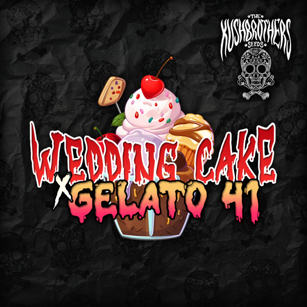 Wedding Cake x Gelato 41