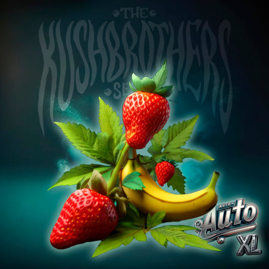 Auto Strawberrybanana XL